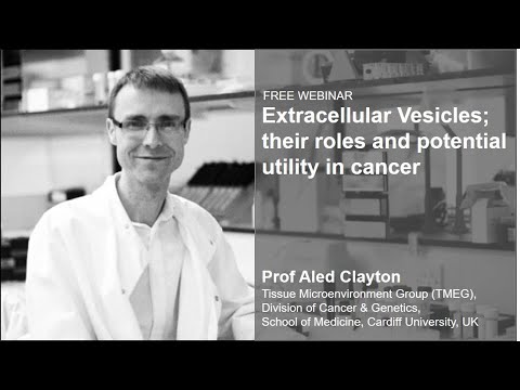 Extracellular Vesicles Their Roles And Potential Utility In Cancer