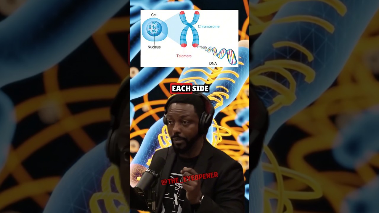 Did Genetic Modification Create Humans 200,000 Years Ago? Billy Carson on Joe Rogan