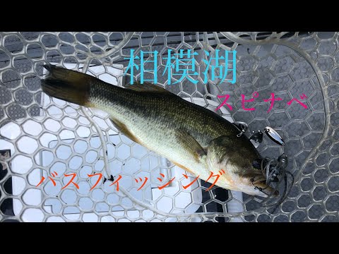 【相模湖】　神奈川県相模湖釣行　【バス釣り】