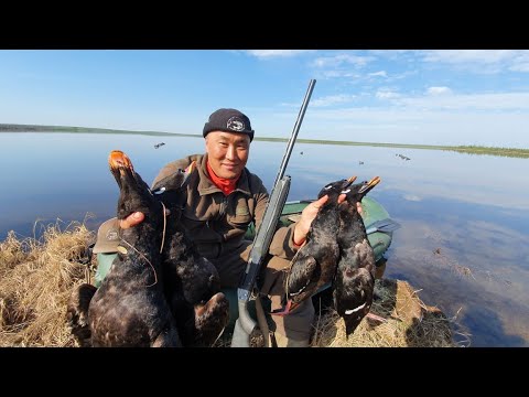 Охота на турпана в Якутии - 1 серия