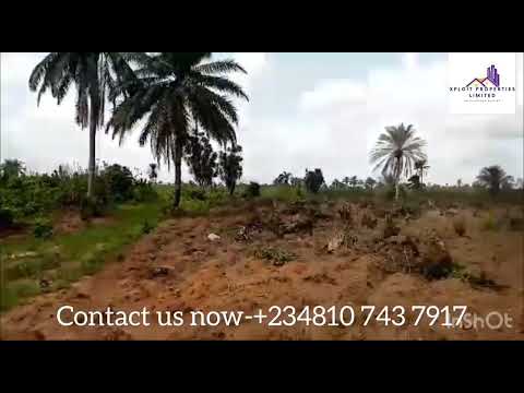 Land For Sale Crowd Charisma Garden Ogbor Hills Ovum Aba Umuahia Abia 