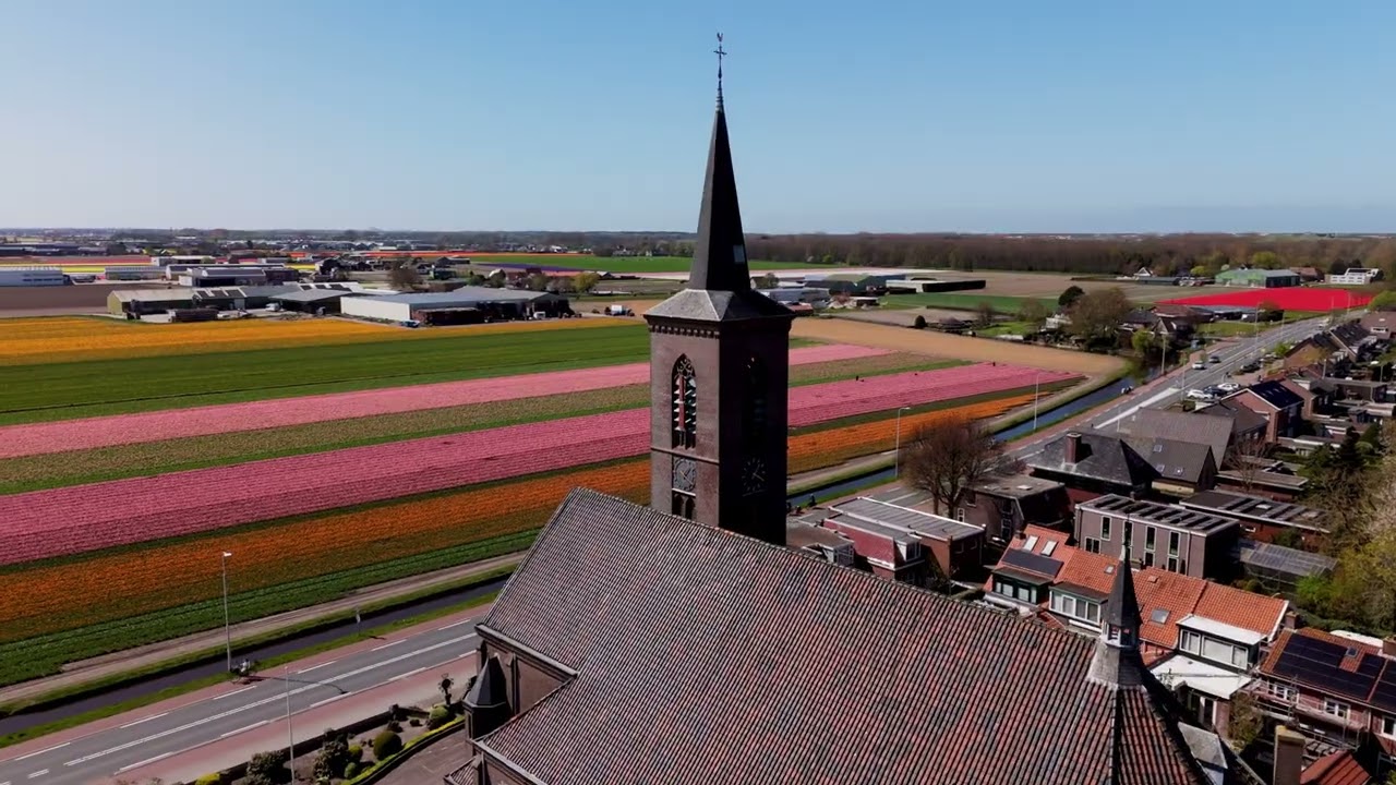 Unidex: Bedrijfspand en omgeving