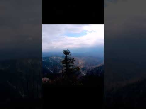 🇷🇴⛰️Scaunul Domnului, Deda Bistra, județul Mureș #shorts #mures #romania #descoperaromania