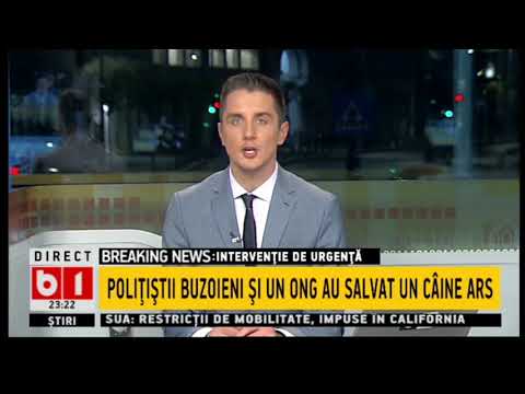 Politistii buzoieni si un ONG au salvat un caine maltratat_Stiri b1_22 noiembrie 2020