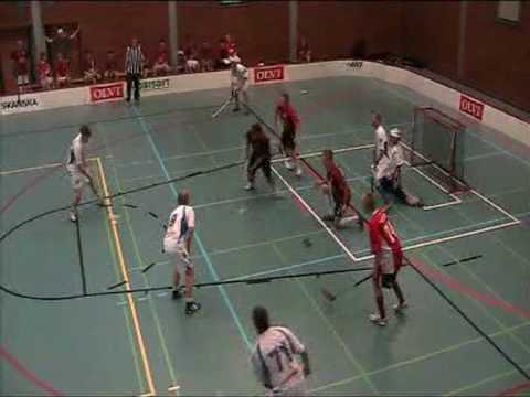 22.08.2009 FBT Blue Flames - Sudet