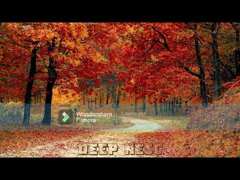 Patrick Podage & Mary S. K. - What I Said (Cameron Gary Remix)