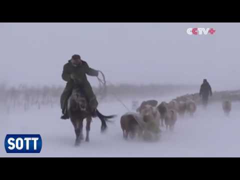 SOTT video sažetak zemaljskih promjena - studeni 2016.: Ekstremno vrijeme, meteorske vatrene kugle