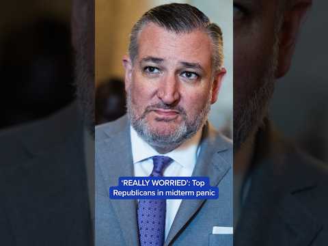 'REALLY WORRIED': Top Republicans in midterm panic