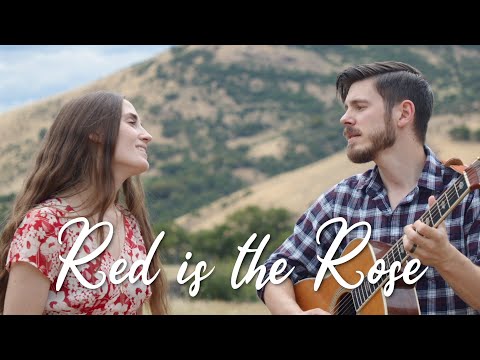 Red is the Rose | The Hound + The Fox