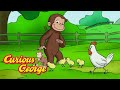 George Loves The Farm Curious George Kids Cartoon Kids Movies