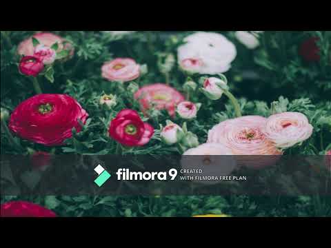 Sariya Idhu Thavara Song