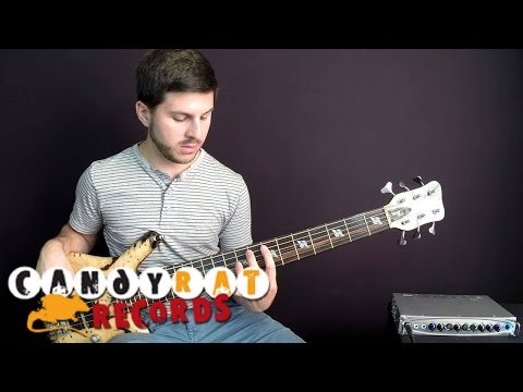 Mark Michell • Bass Play-Through • "Earthen" (by Chris Letchford)
