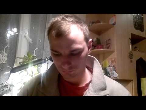 Experiment 2 Toms Klabis