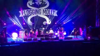 Flogging Molly - The Days We’ve Yet to Meet
