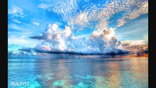 Nym - Warm Blooded Lizard - 15 - Lesser Known Good ft REALEYEZ