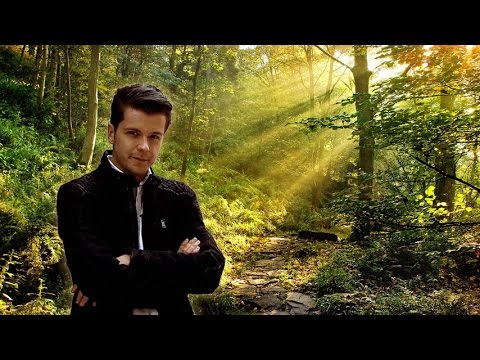 Po co leśnik w lesie? | Polimaty #75