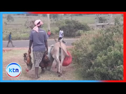 Mapigano Transmara yasitisha biashara na kusababisha maafa Lolgorian