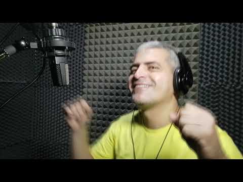 Cover gaviota herida