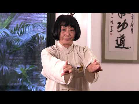 TAI CHI ONLINE | CLASS 1 | Movement at home with Kazuko Onkai