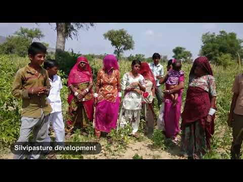 BAIF | Arid- Desert Regions | India | 2022