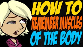 How to Remember Muscles of the Body