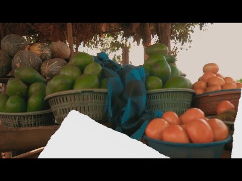 Kaiz Rey - Wali User (Feat. Don Prestige) Official Visualizer