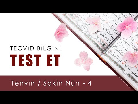 Tecvid Bilgini Test Et 7 | Tenvin / Sakin Nûn 4 | Tecvid Dersleri - Mehmet Emin Yiğit ✨