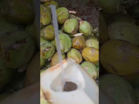 Puri Sea Beach ⛱️ Coconut water #shortvideo #youtubeshorts #shorts #short #viral #puriseabeach
