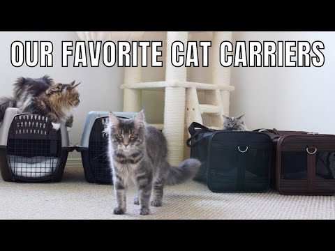 Our Favorite Cat Carriers