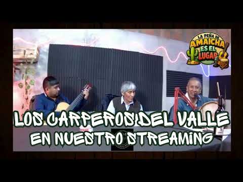 LOS CARPEROS EN NUETROS STREAMING