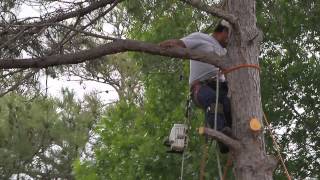 preview picture of video 'Tree Trimming and Tree Removal service Cypress TX 77433'