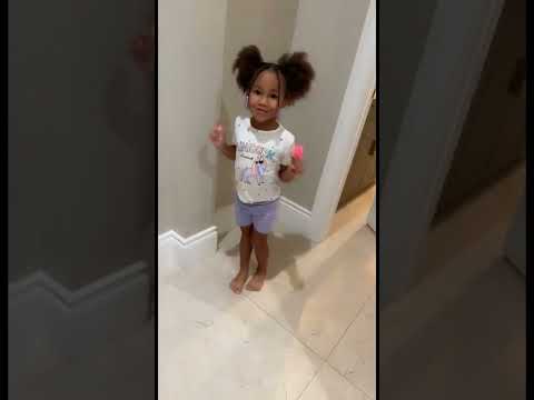 GIANT SPIDER ATTACKS FAMOUSTUBEFAMILY 😱🕷