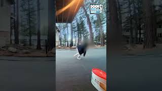 Attempted Home Invasion (Reno, Nevada)