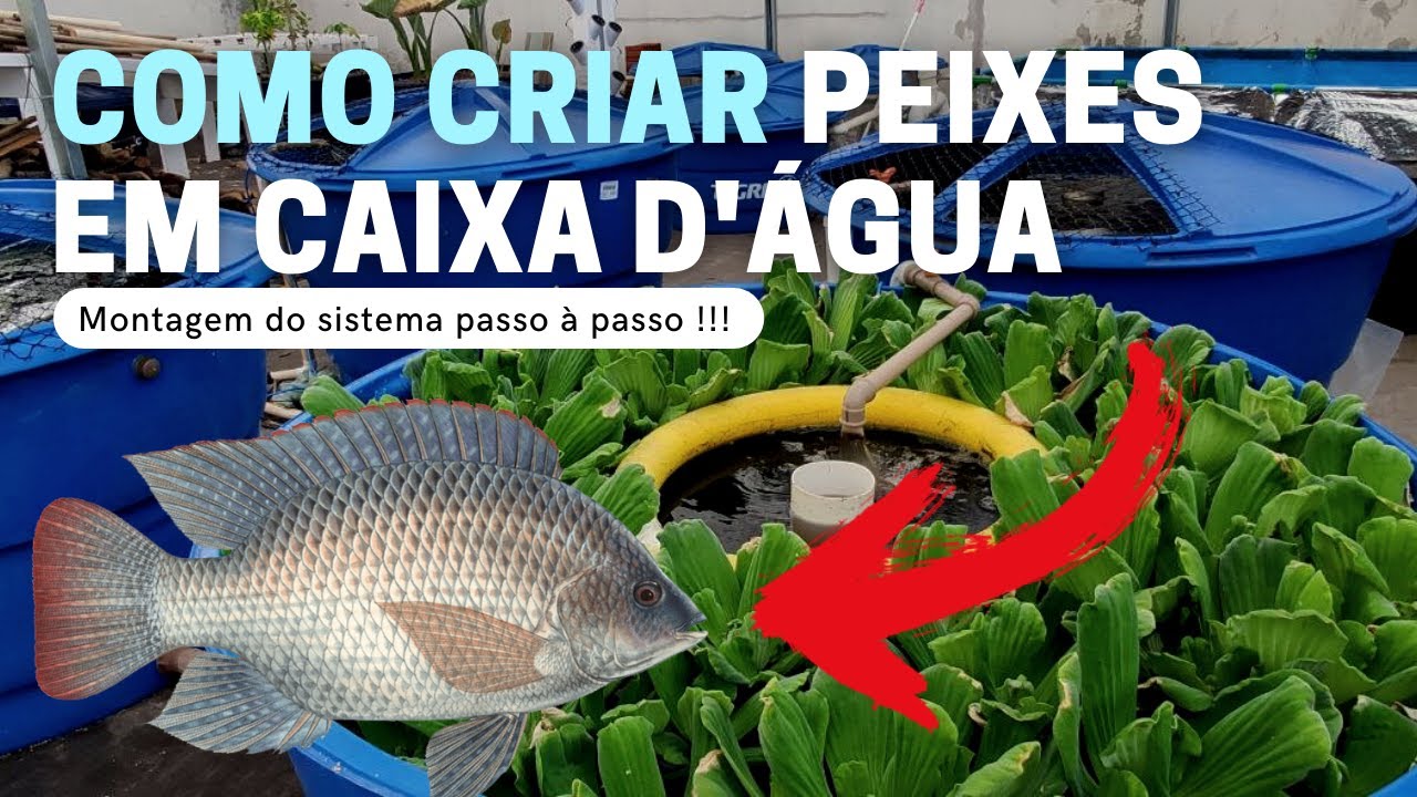 Como criar peixes em Caixa D'água - Montando o Sistema COMPLETO (Aula 1)