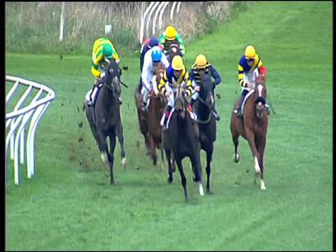 Galoppo 27/02/2016 - 3° corsa