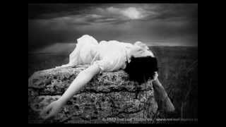 Adeus... e nem voltei