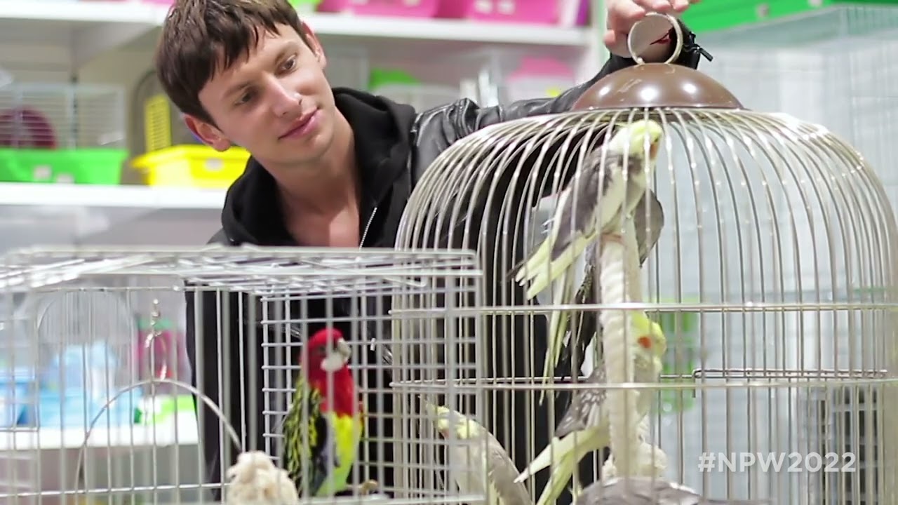 National Pet Week 2022 – Lifetime of care for a lifetime of love