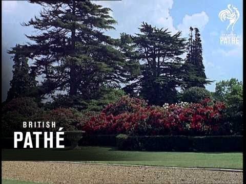 Peter Cadbury Tree Museum Aka Tycoon At Home, AKA Peter Cadbury At Home, AKA Tree Museum (1963)