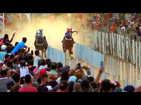 Mega Desafio: UMBIGO DE GILÓ vs MOONISTA PUNK - Prado lotado!!!