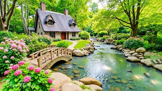 Healing Music for the Heart & Mind 🌿 Nature Sounds for Stress Relief & Deep Sleep