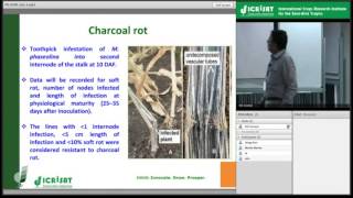 preview picture of video 'Post Rainy Season Sorghum Improvement: Status at ICRISAT'
