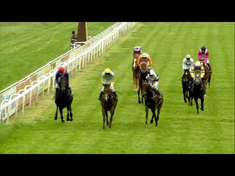 Galopprennbahn Dresden  - 25.05.2019 - Rennen 6