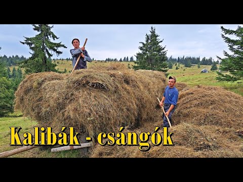 Kalibák, hegyi tanyák, Gyimesek, Csángók, szénacsinálás, pisztráng, lovak, tehenek, Csíki-havasok