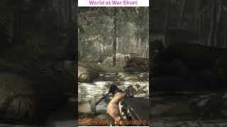 world at war Gameplay 2026