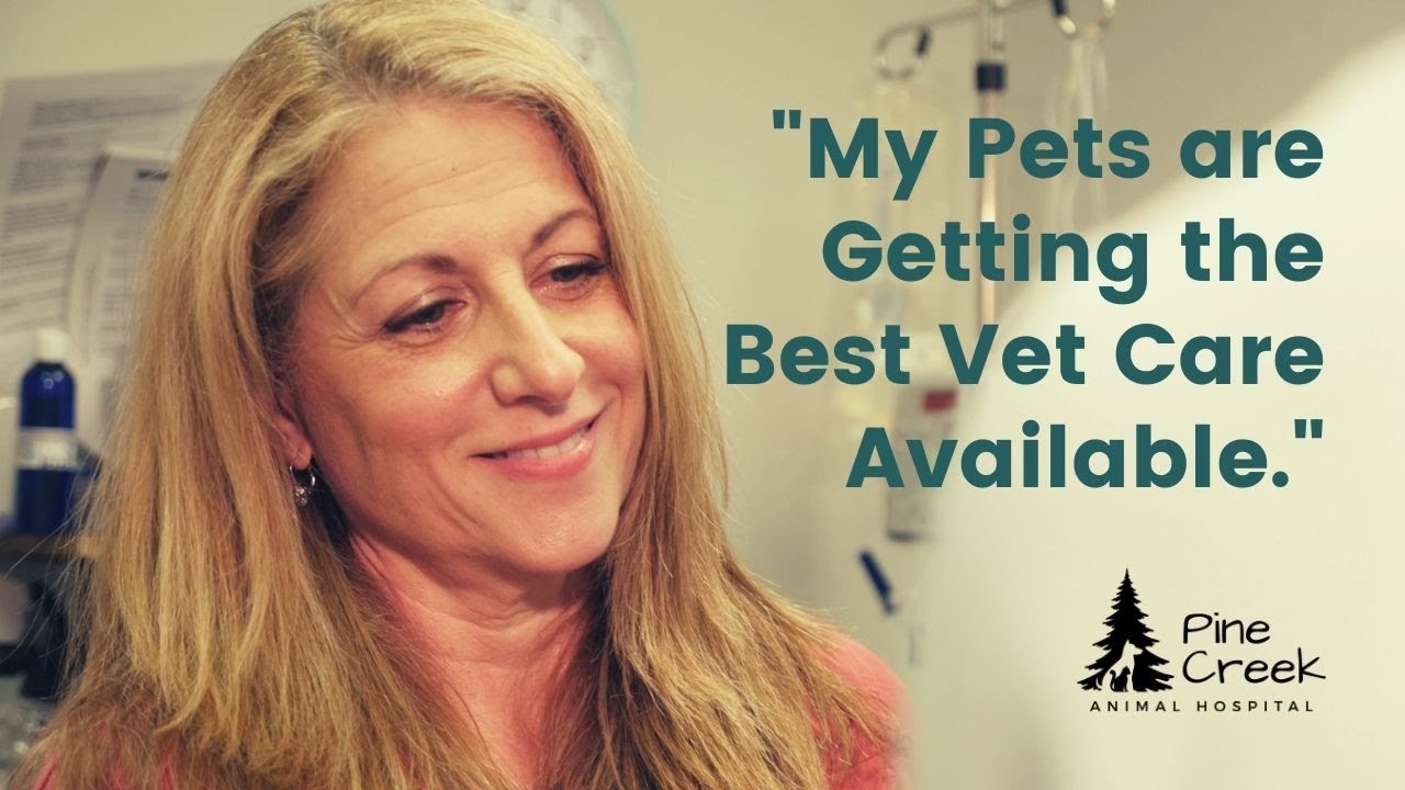My Animals Get the Best Care | Pine Creek Animal Hospital [2021]