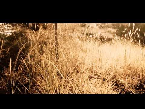 Saaral Mazhaiyaa [ DJ REMIX / LOVE FOLK ]