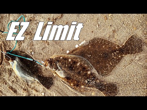 Fluke Limit from Shore in 2 Hours - Flounder Fishing with Single Jig and Gulp Jerk Shad