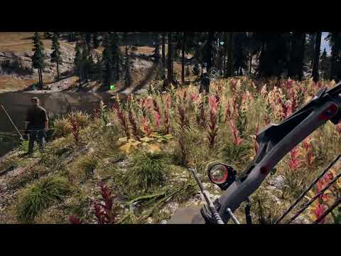 The Best Hunting Spot:Far Cry 5
