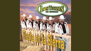 Los Chiquinarcos (Intro Banda Sinaloense)