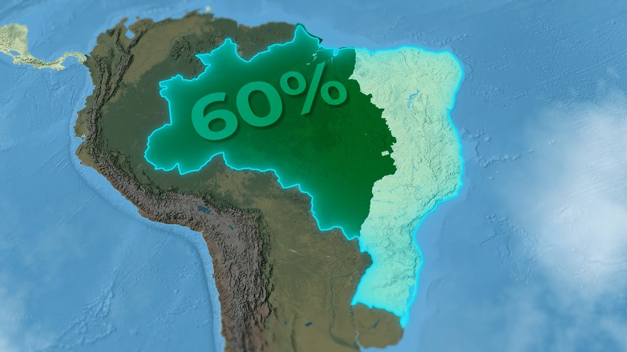 Por que 60% do Brasil está vazio?